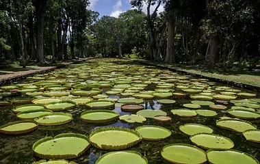Timing Is Everything In Planning Your Off The Beaten Path Mauritius Escape - Club Med Singapore