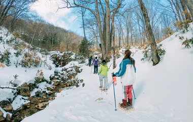 club med sahoro, hokkaido, snow, horse