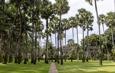 Club Med resort in Phuket