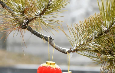 Japan lanterns in snow