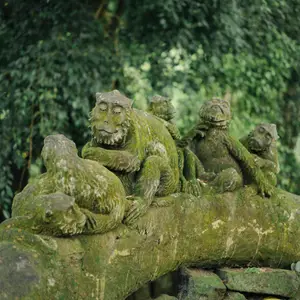Balinese monkeys