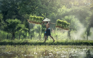 fishermen on a river in China