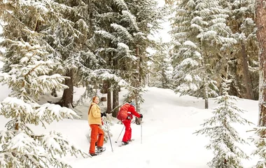 Snowshoeing, french alps, club med
