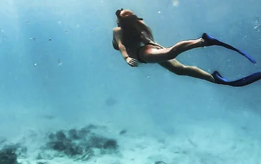 Snorkel with Manta Rays and Sea Turtles