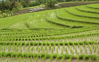 Club Med partnering with local foundations