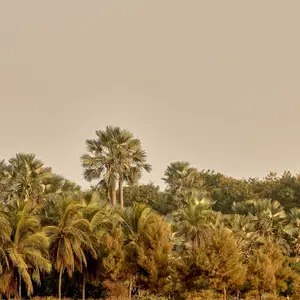 all inclusive vakantie luxe senegal