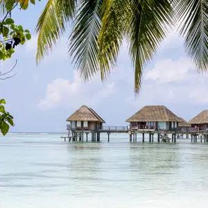 villas finolhu malediven