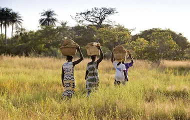 Lokal anställning i Senegal