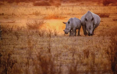 Circuits Découverte Club Med en Namibie