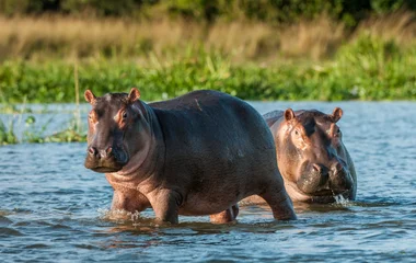 Circuits Découverte Club Med au Zimbabwe