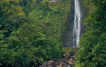 Les Chutes du Carbet