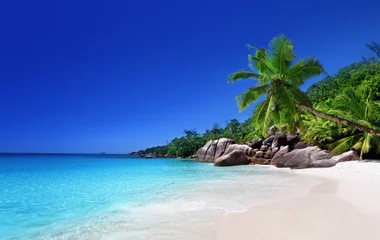 The Seychelles