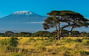 circuits tout compris en Afrique