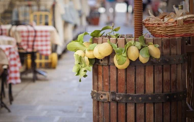 Vine grapes in Sicily