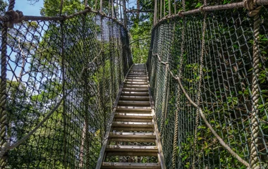 Adventure in lush greenery