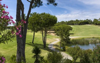 Dom Pedro Golf