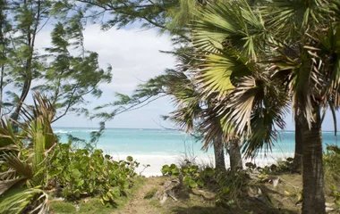 Lucaya National Park
