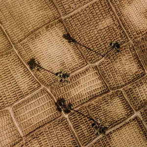 The Club Med Foundation