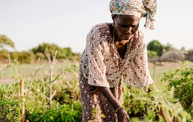 agricultrice champs senegal