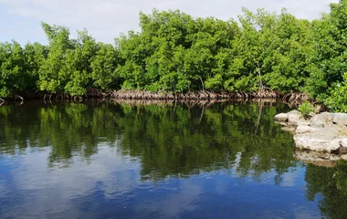 Guadeloupe