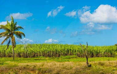 Guadeloupe VTT