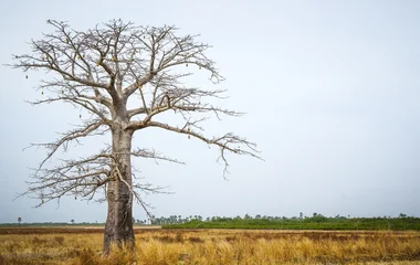 Sénégal tourisme durable