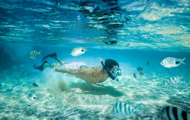 snorkelling maldives poissons