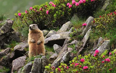 Nature awakens, your children too!