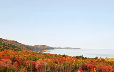 employé au restaurant principal de Québec Charlevoix
