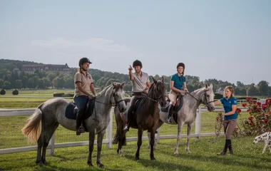 L'équitation