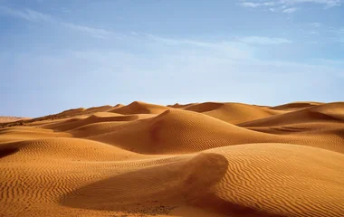 Désert de sable lors d'un voyage aux Emirats Arabes Unis