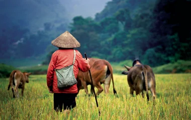 Paysan lors d'un voyage au Vietnam
