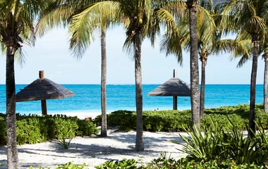 Plage et palmiers aux îles Turks et Caïcos