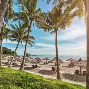 Nos Resorts récompensés par TripAdvisor