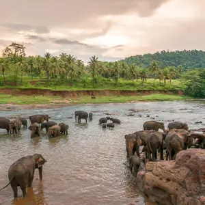 Eskapaden by Club Med