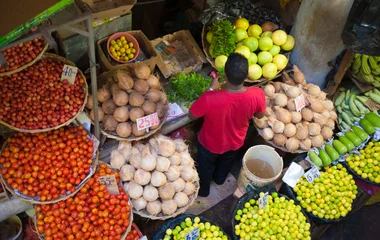 L’évasion d’un séjour en famille sur l’île Maurice