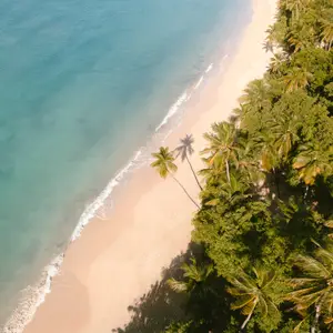 Vacances All Inclusive en Gadeloupe