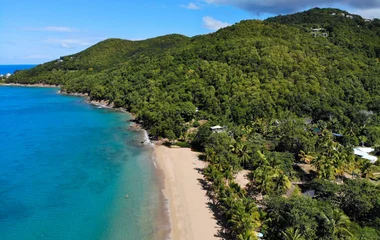 Escapades nature sur Basse-Terre