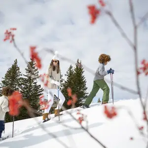 Week-end au ski dans les Alpes