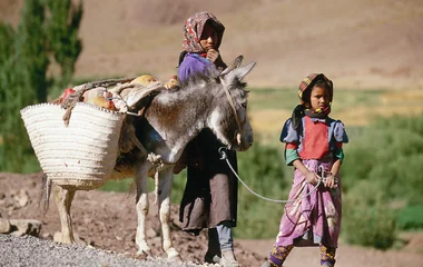 Some initiatives of the Foundation in favor of youth