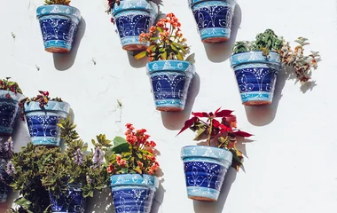 fleurs mijas espagne