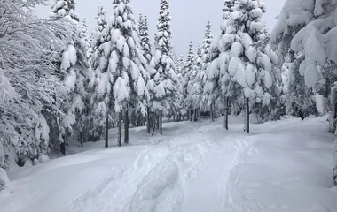 Skiing in the Massif de Charlevoix