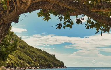 קלאב מד סיישל