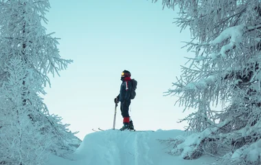 homme qui skie entre les sapins