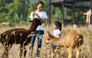 Club Med Joyview安吉度假村