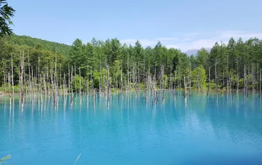 Club Med北海道Tomamu度假村
