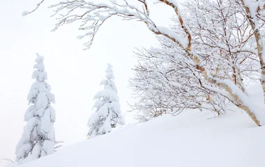 ski holidays in Japan