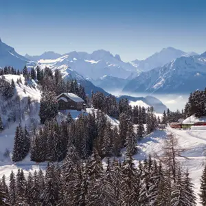 Views of the Swiss alps