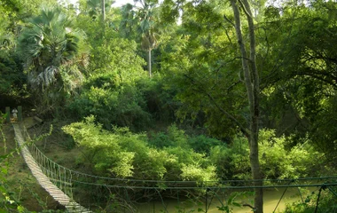 parc national niokolo koba sénégal