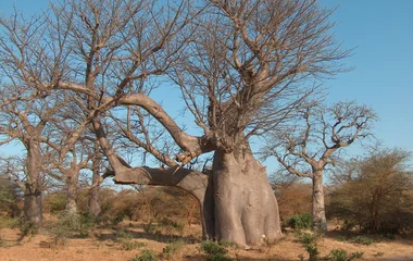 réserve bandia sénégal